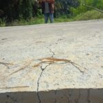 Diduga Jadi Ajang Korupsi, Bangunan Rabat Beton di Desa Landbouw Rusak