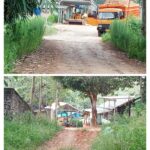 Amrullah Anggota Dewan Terpilih Tahun 2024 Provinsi Lampung Membangun Lapak Singkong di Tengah Jalan Kabupaten