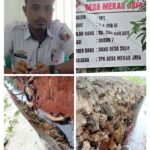 Muka Tembok Tidak Mengenal Rasa Malu, Kades Mekar Jaya Ipad Ropendi M.Pd Diduga Hidup Dari Korupsi Dana Desa, Semua Pekerjaan Fisik Tidak Ada Sesuai RAB