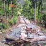 Diduga Kepala Desa Pulau Kemuning Kecamatan Sungai Are Perampok Dana Desa