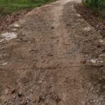 Kades Yulia Yanti Diduga Korupsi Pembangunan Rabat Beton Anggaran Dana Rp.156,171,500. DD 2023