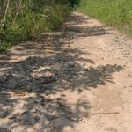 Akibat Deni Fiktoria Diduga Sering Makan Uang Rakyat Semua Pembangunan Desa Tanjung Harta Pada Hancur