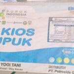 Kios Pupuk Bersubsidi Ibu Wayan dan Sarmin Kecamatan Rebang Tangkas Diduga Menjual Pupuk di Atas Harga HET