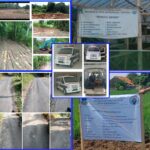 Semua Warga Desa Sirnabakti Pamengpeuk Inginkan Kades Herdi Hidayat di Berhentikan Dari Jabatan nya