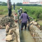 Proyek Pekerjaan Irigasi Lingkungan Andiwung Diduga Langgar Keterbukaan Informasi Publik (KIP)