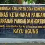 Belanja Bahan Kimia, Dinas KPTPH OKI Terindikasi Korupsi Kolusi dan Nepotisme Hingga Muncul Asumsi Dugaan Korupsi Yang Terstruktur