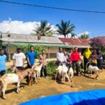 Peratin Tambak Jaya Slamet Widodo Salurkan 100 Ekor Kambing Bantuan Ketahanan Pangan Kepada Warga Pekon Tambak Jaya