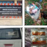 Merasa Kebal Hukum Kepala Puskesmas Pagar Dewa Berani Langgar Peraturan Dinas Kesehatan Lampung Barat