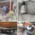 Peredaran Rokok Ilegal Semakin Marak di Daerah Pelalawan, APH Diminta Tangkap dan Jebloskan Kepenjara Pengedar dan Bos Besarnya