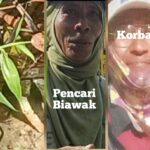 Pencari Biawak Temukan Tulang Kerangka Manusia di Kebun kelapa Desa Kampung Lalang