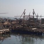 Menyebabkan Konflik Aparat Penegak Hukum Diminta Hentikan Penjarahan Benur di Binuangen