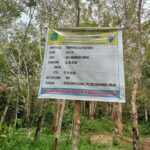 Diduga Kepala Desa dan Aparatur Desa Simandi Angin Beserta BPD Kebal Hukum