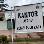 HGU TM Afdeling IV PTPN IV Ragional II Kebun Pulau Raja Diduga Tidak Terawat