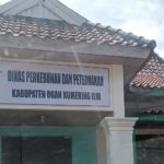 Dugaan Korupsi, Anggaran Belanja Jasa Konsultasi Disbundak OKI Disoal: APH Diminta Periksa Pihak Dinas