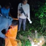 Satu Orang Warga Meninggal Akibat di Mangsa Harimau Liar, Kaki Korban Sebelah Tinggal Tulang