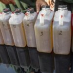 Kapolda Lampung Harus Tahu, di Bukit Kemuning Kabupaten Lampung Utara Banyak Pelaku Oplos Minyak Mentah Sudah Puluhan Tahun Tidak Tersentuh Hukum