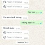 Kades Bunut OKU Selatan Diduga Kirim Pesan WhatsApp ke Istri Orang Minta Susu