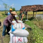 Sergab Petani, Babinsa Kodim Ponorogo Gencarkan Komsos di Desa Binaan