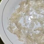 Koprasi Dijadikan Alasan Melegalkan Benih Lobster, Nelayan Jadi Korban Dibeli Dengan Harga Murah