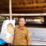 Kandang Ayam dan Kerambah Ikan di Desa Sukamenanti Kecamatan Bukit Kemuning Berjalan Baik dan Tidak Ada Masalah