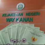 Diduga Libatkan Oknum ATR / BPN, GERMASI Bongkal Skandal 96 SHM Ilegal di HL Reg 24 Bukit Punggur Way Kanan