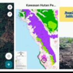 Penjual Hutan Kawasan Lunang Silaut Kebal Hukum, Diduga Ada Campur Tangan APH