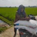 Lagi-Lagi Petani Beli Pupuk Bersubsidi Lebih dari HET, dan Kartu Tani Diduga di Pegang Pemilik Kios