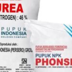 Kios Pupuk Dekisa Hi.Dedi Jual Harga Melebihi dari HET, APH Diminta Tangkap dan Penjarakan