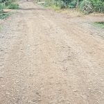 Jalan Desa di Mekar Asri Sungkai Hancur, Masyarakat Minta Bantuan Bupati, Pilkada Lalu Masyarakat Pilih Hamartoni Semua