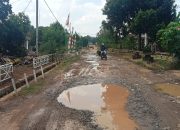 Jalan Desa Batu Nagkop Seperti Kubangan, APH Diminta Periksa Semua Anggaran DD untuk Fisik, Diduga Semua Tidak Sesuai RAB