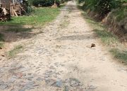 APH Lampung Utara Diminta Periksa Semua Bangunan Dana Desa Galih Rejo Sungkai Tengah, Kwalitas Buruk dari Tahun ke Tahun, Diduga yang Bangun Korupsi