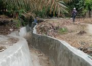 Warga Sangat Mengapresiasi Kinerja Kepala Desa/Pangulu Parbutaran