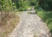 Kejari Kabupaten Way Kanan Diminta Secepatnya Priksa Kades Kayu Batu Kecamatan Gunung Labuhan, Terbukti Maling Uang Negara Secepatnya Seret Kepenjara