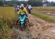 Jalan Desa Umbulan Cikesik Pandeglang Layak Jadi Kubangan Kerbau, Masyarakat Pertanyakan Kemana Dana Desa