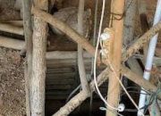 Tambang Emas Ilegal di Sukabumi Jawa Barat, APH Diminta Segera Bertindak