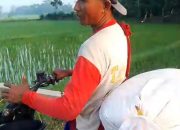 Harga Pupuk Subsidi Tembus 150 Ribu Per-Sak di Desa Raman Agung BMT OKU Timur Sumsel, Sudah Kesepakatan di Atas Materai