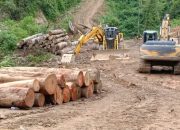Menjamur Kejahatan Ilegal Logging Didepan Mata Aparatur Negara di Pesisir Selatan Sumatra Barat