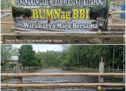 Diduga Mark-Up Anggaran, Pangulu Bandar Betsy I Simalungun Sumatra Utara Jadi Sorotan