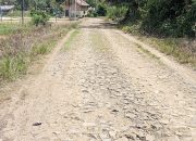 Inspektorat Lampung Utara Diminta Periksa Semua Bangunan DD di Desa karang Rejo Kecamatan Sungkai Selatan