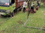 Pelaporan Diduga Masuk Mobil Tayo PTPN IV Ke-Blok Kebun Tinjwan Simalungun Sumatra Utara