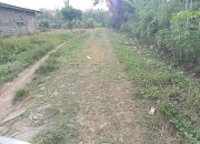 Jalan Rusak Parah, Bupati Lampura Diminta Masyarakat Negri Ratu Sungkai Utara Prioritaskan Bangunan Disana