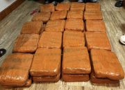 Polda Lampung Gagalkan Penyelundupan 40 Kg Ganja, Kurir Asal Padang Ditangkap