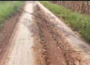 Masyarakat Desa Padang Ratu Sungkai Utara Berharap Ada Perbaikan Jalan dari Pemerintah Desa dan Daerah