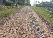 Warga Desa Tulung Buyut Mengeluh: Jalan Rusak Parah, Diduga Ada Penyimpangan Dana Desa