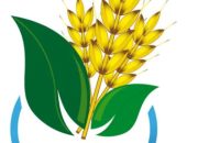 PTPN IV Unit Kebun Mayang Diduga Abaikan Instruksi Presiden Tentang Ketahanan Pangan