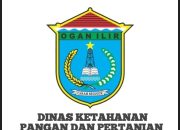 Diduga Menyalahi Aturan Bendahara Pengeluaran Dinas Ketahanan Pangan dan Pertanian Ogan Ilir Rangkap Jabatan