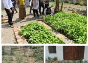 Kepala Desa Talang Sari Galakkan Pemanfaatan Lahan Kosong dan Kaleng Bekas untuk Tanam Sayur dan Rempah