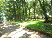 Tukang Parkir Liar di Taman Remaja Bengkulu Resahkan Warga, Ada Dugaan Setoran ke Oknum DPRD