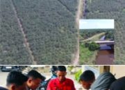 Jeritan Petani Sawit Silaut: Ribuan Hektar Diduga Diserobot PT. Sukses Jaya Wood, Masyarakat Tagih Keadilan