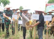 Polda Lampung Gelar Panen Raya Jagung Dukung Swasembada Pangan 2025